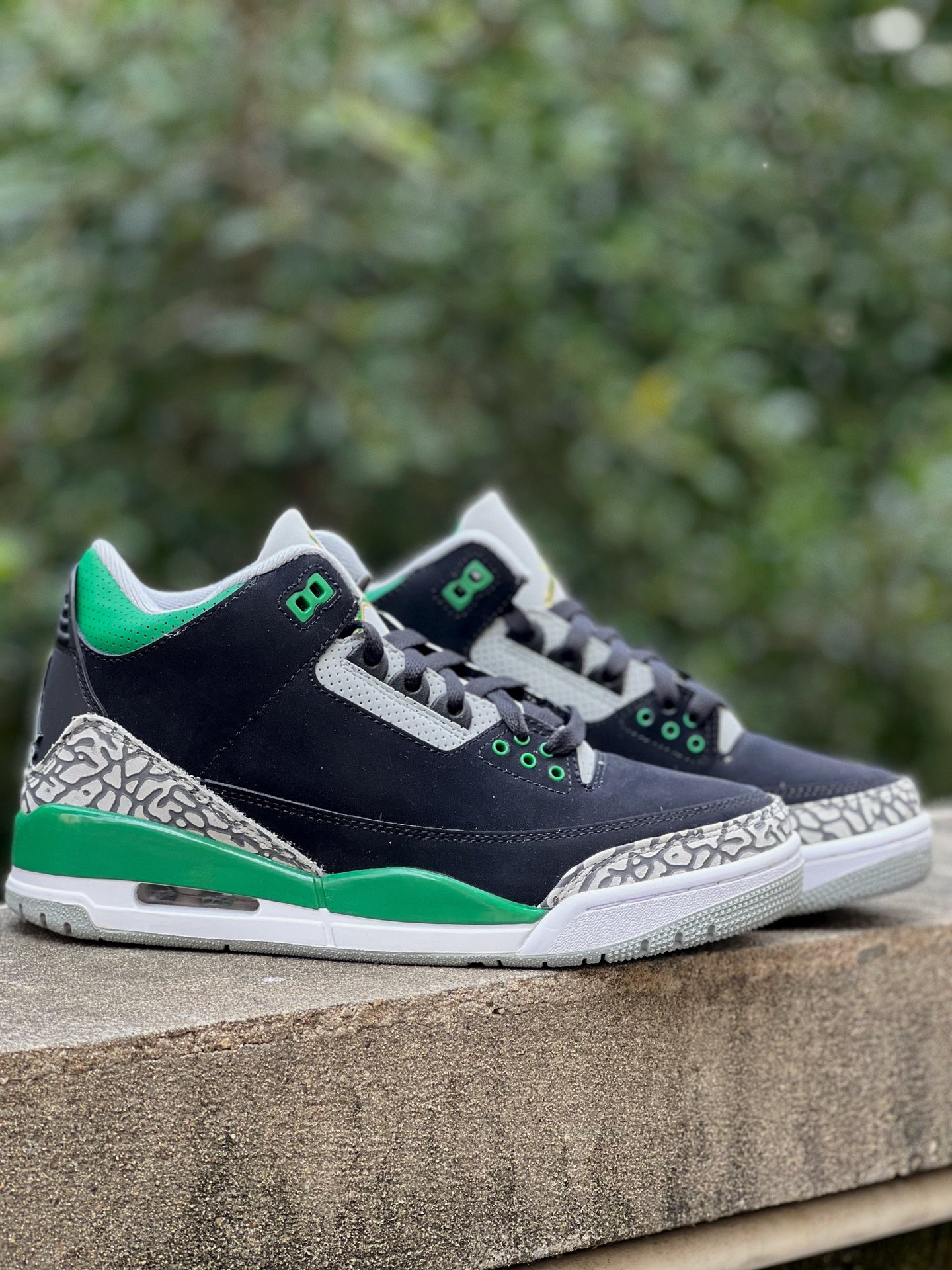 Jordan Air Jordan 3 SE Black Green