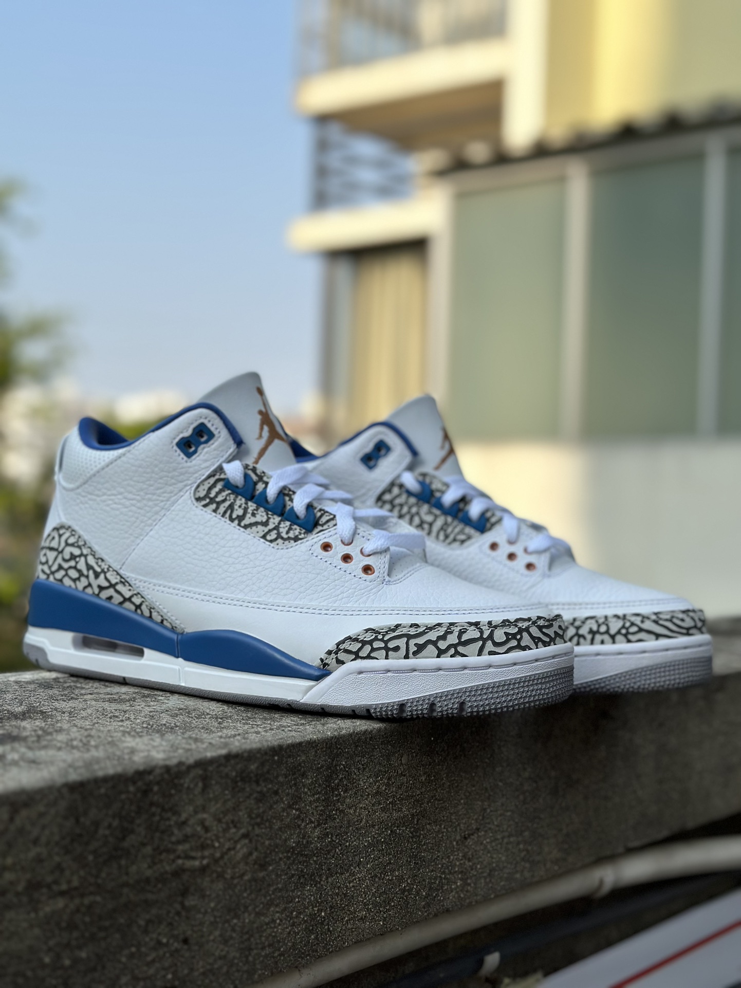 Jordan Air Jordan 3 SE Denim Fire Red Sneakers White/Blue