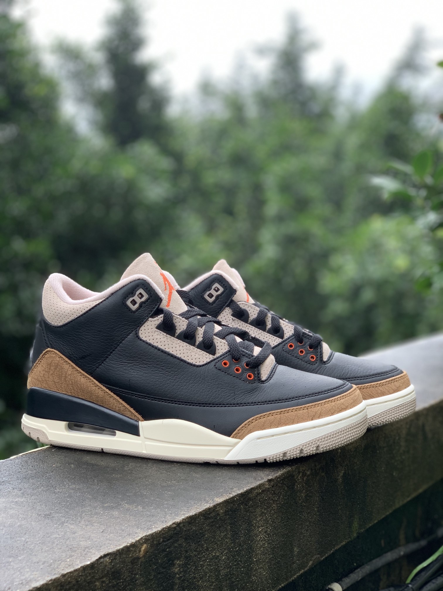 Jordan Air Jordan 3 SE Denim Fire Red Multi