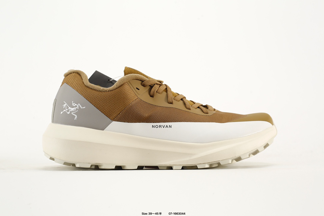 Arc'teryx Norvan FL GTX Shoes Multicolor