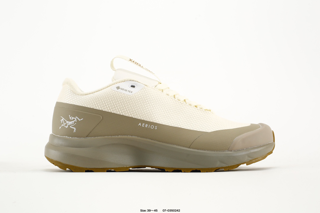 Arc'teryx Aerios GTX Trail Shoes Multi-Color