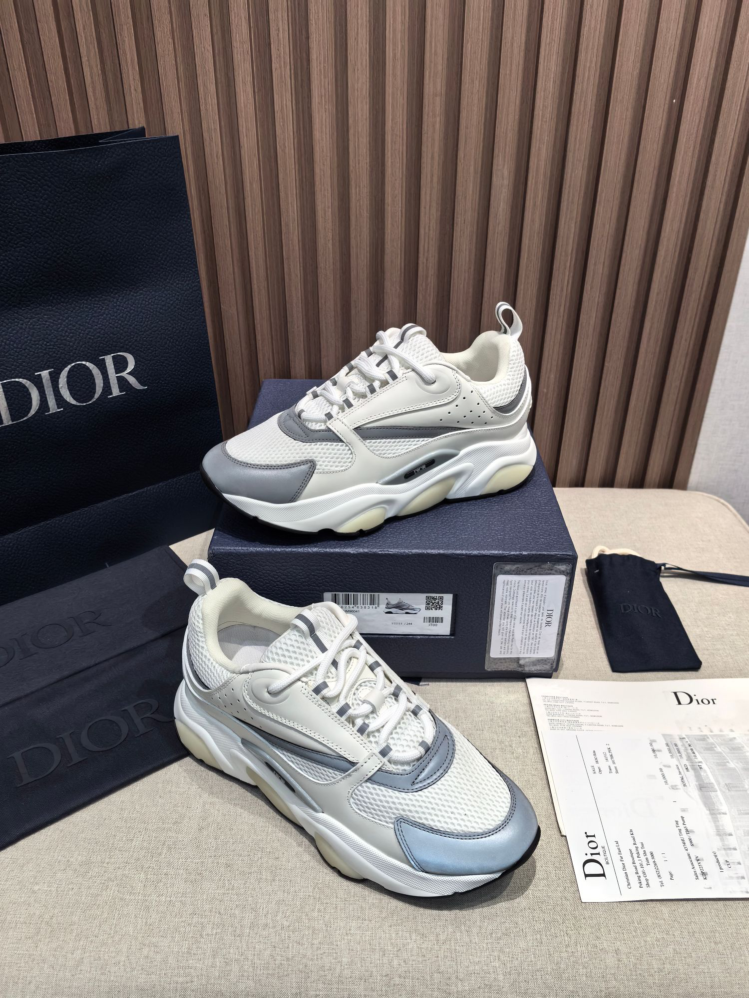 Dior B22 Low-Top Sneakers White/Grey