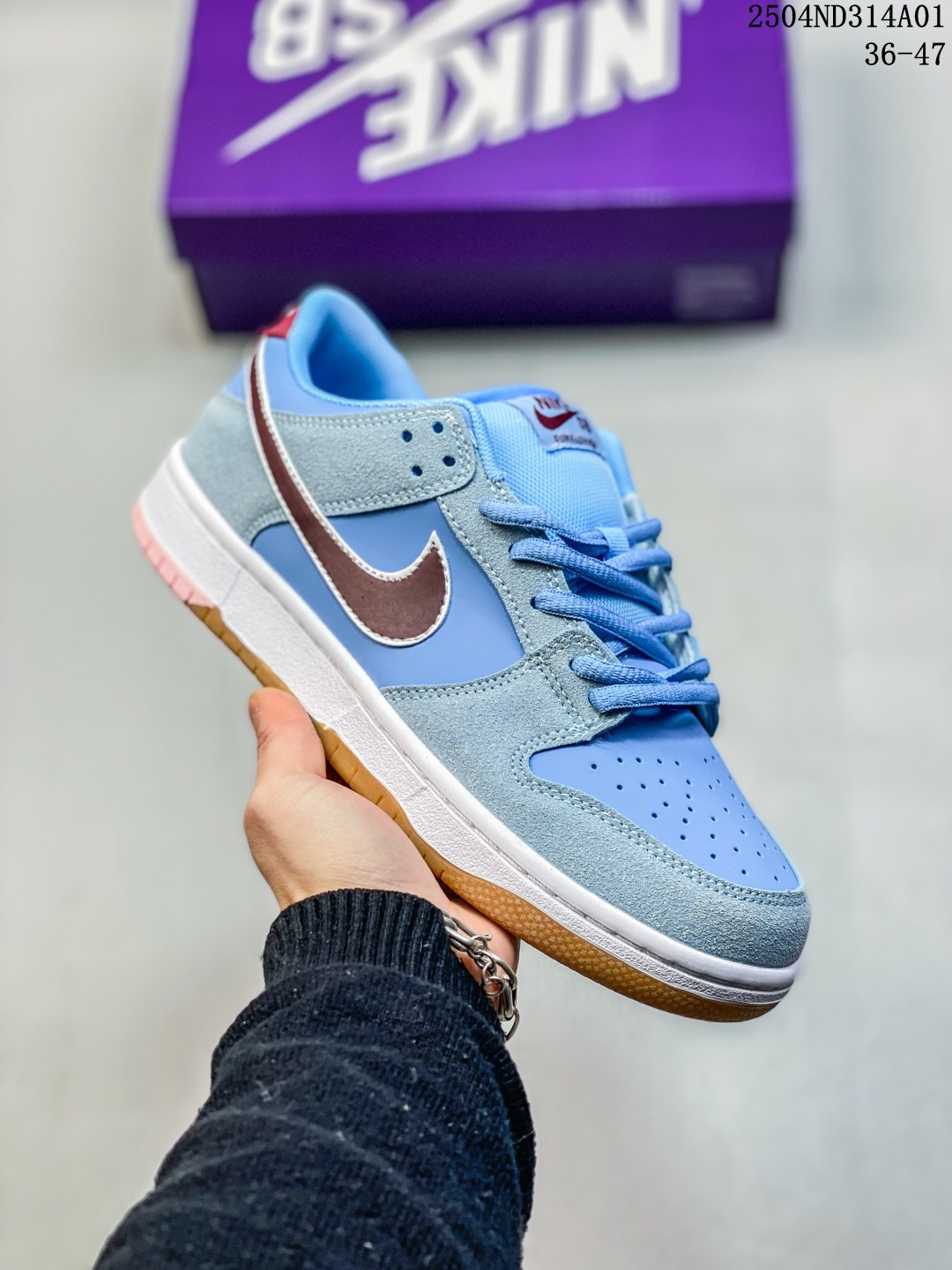 Nike SB Dunk Low Pro Skate Shoes Blue