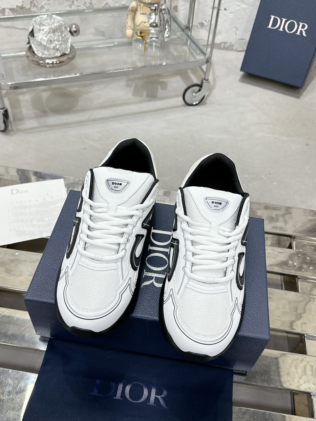 Dior B30 Reflective Dad Sneakers White/Black