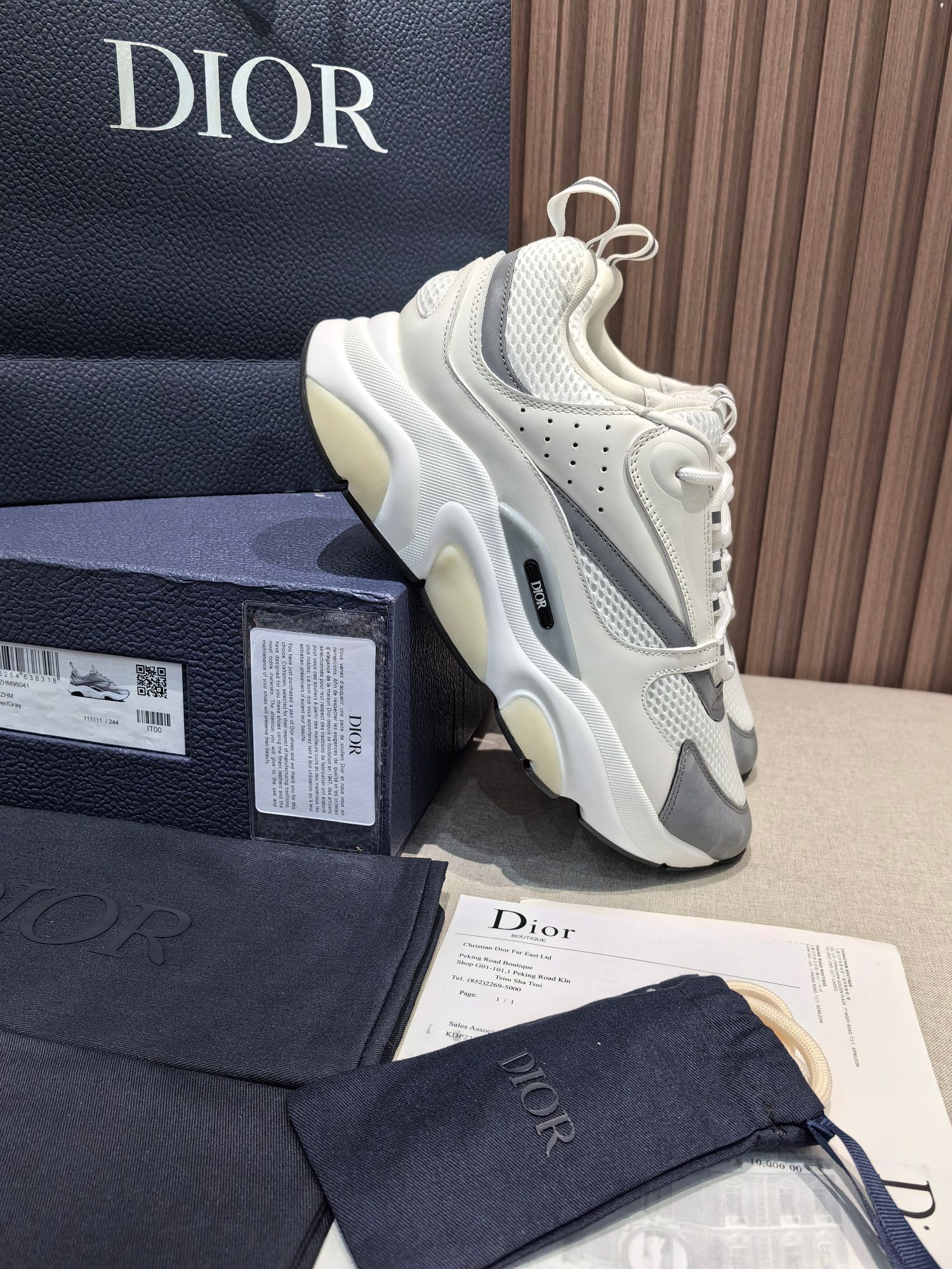 Dior B22 Low-Top Sneakers White/Grey