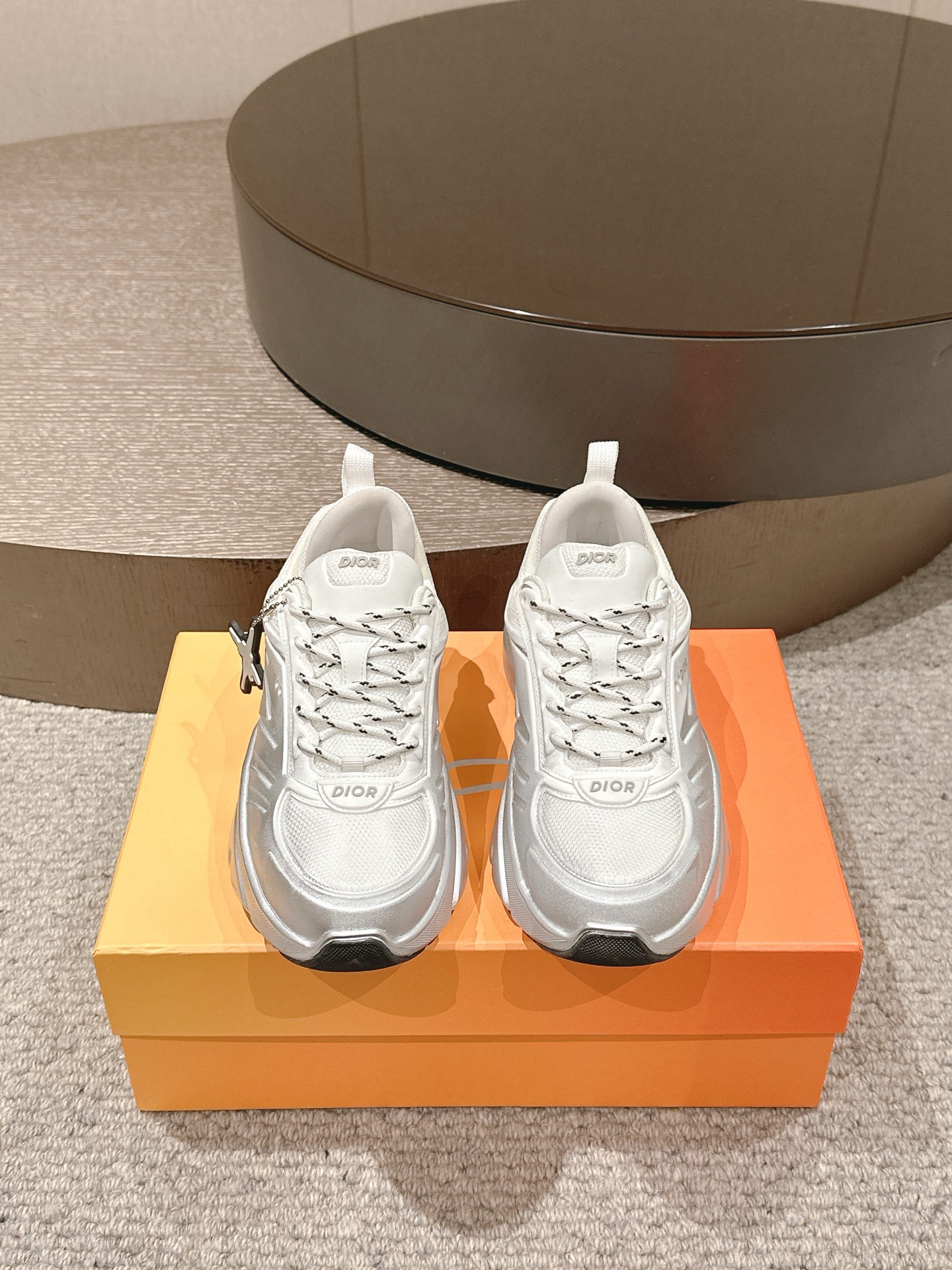 Dior B44 Mesh Dad Sneakers Silver