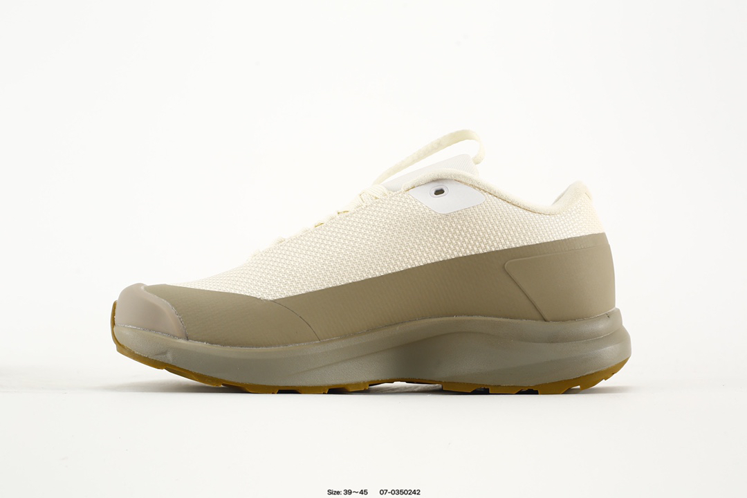 Arc'teryx Aerios GTX Trail Shoes Multi-Color