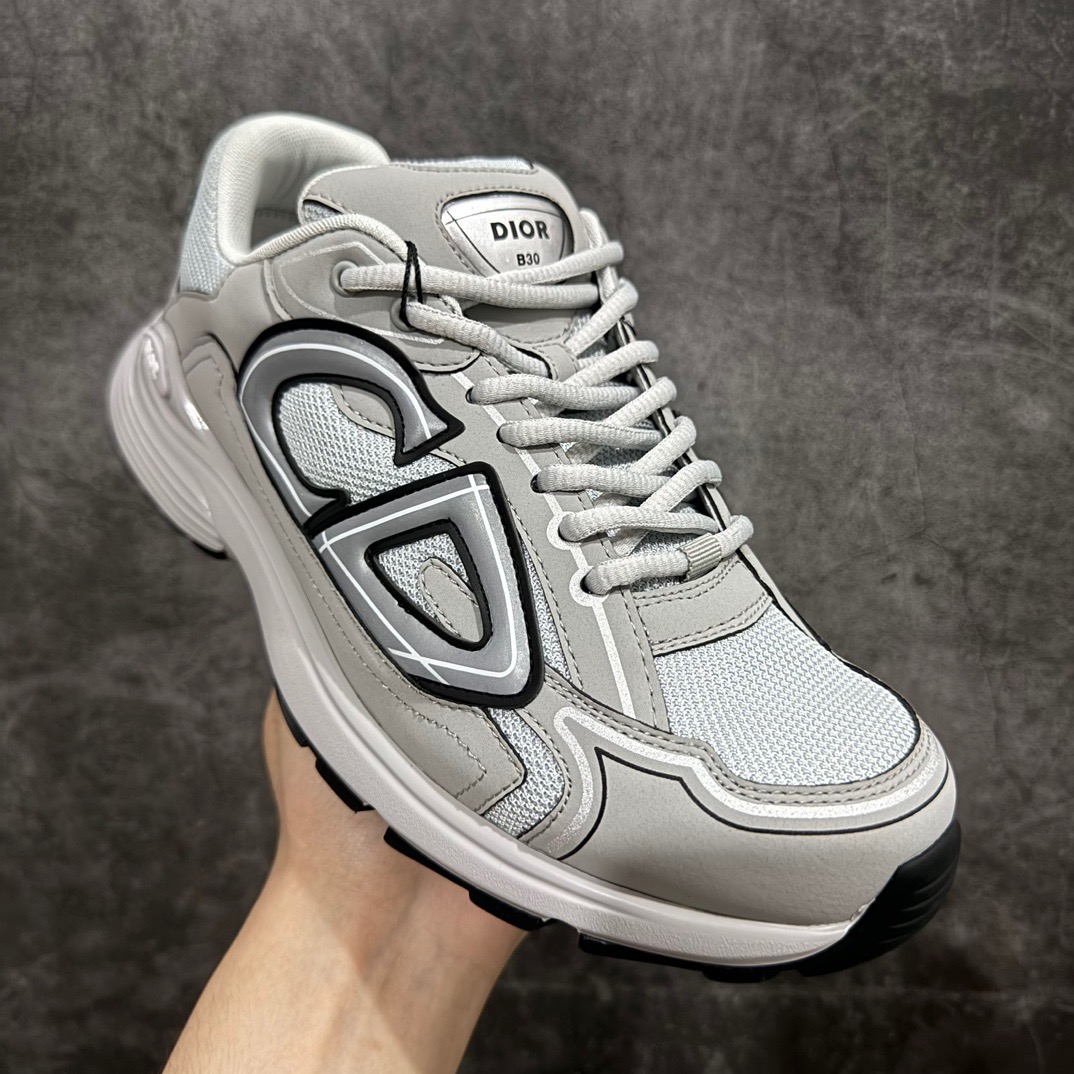 Dior B30 Sneaker Grey