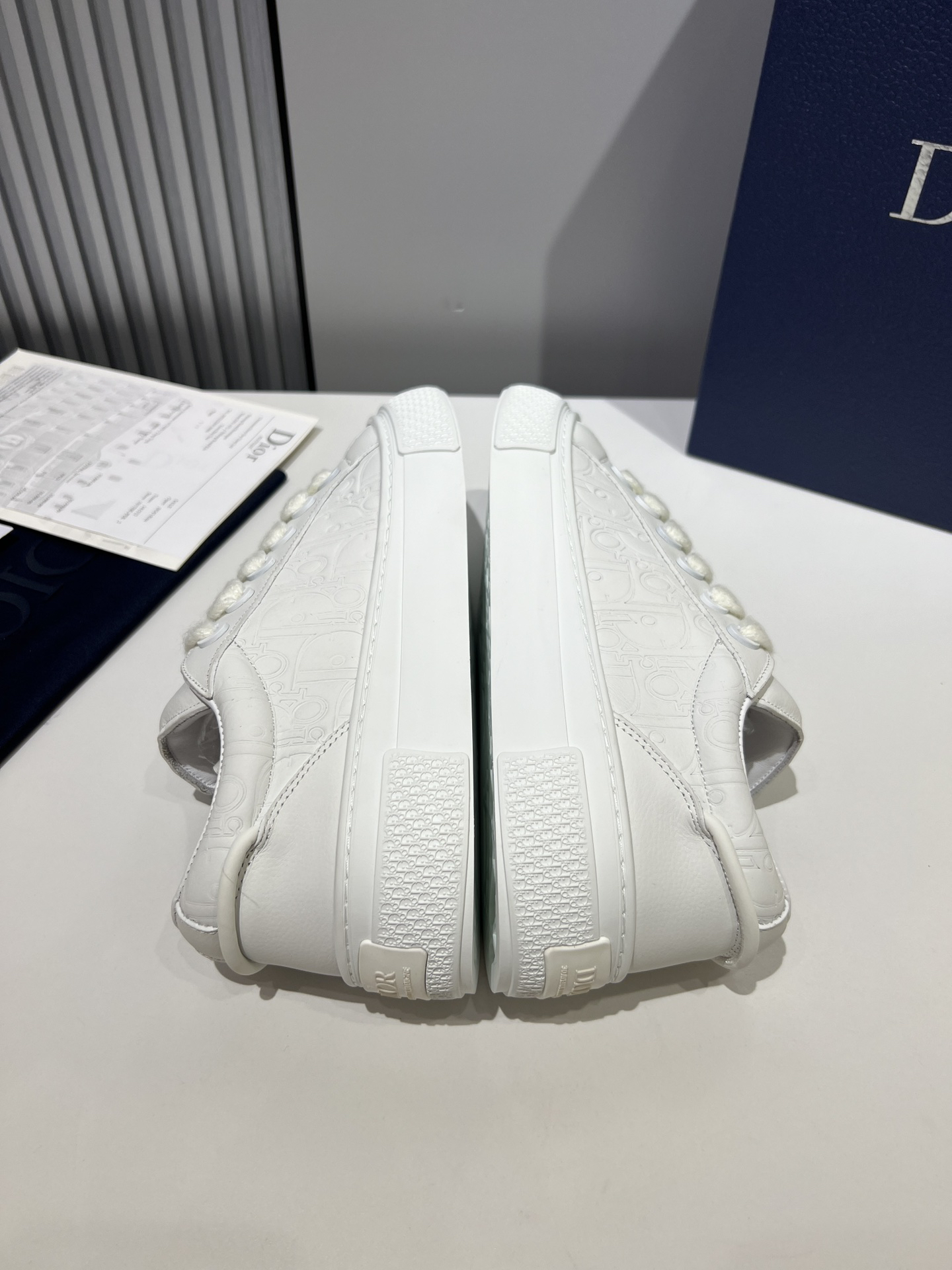 Dior B33 Gravity Sneakers White