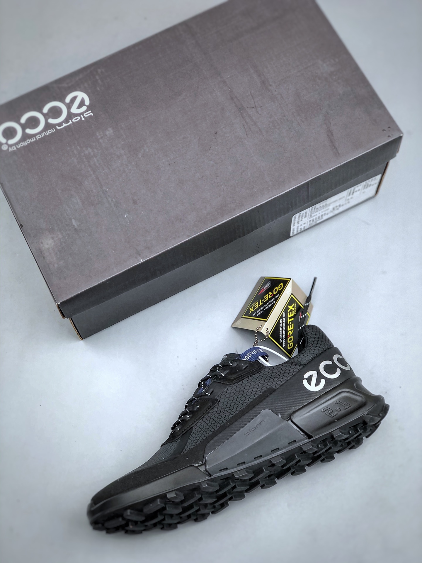 ECCO BIOM 2.1 GTX Trail Shoes Black