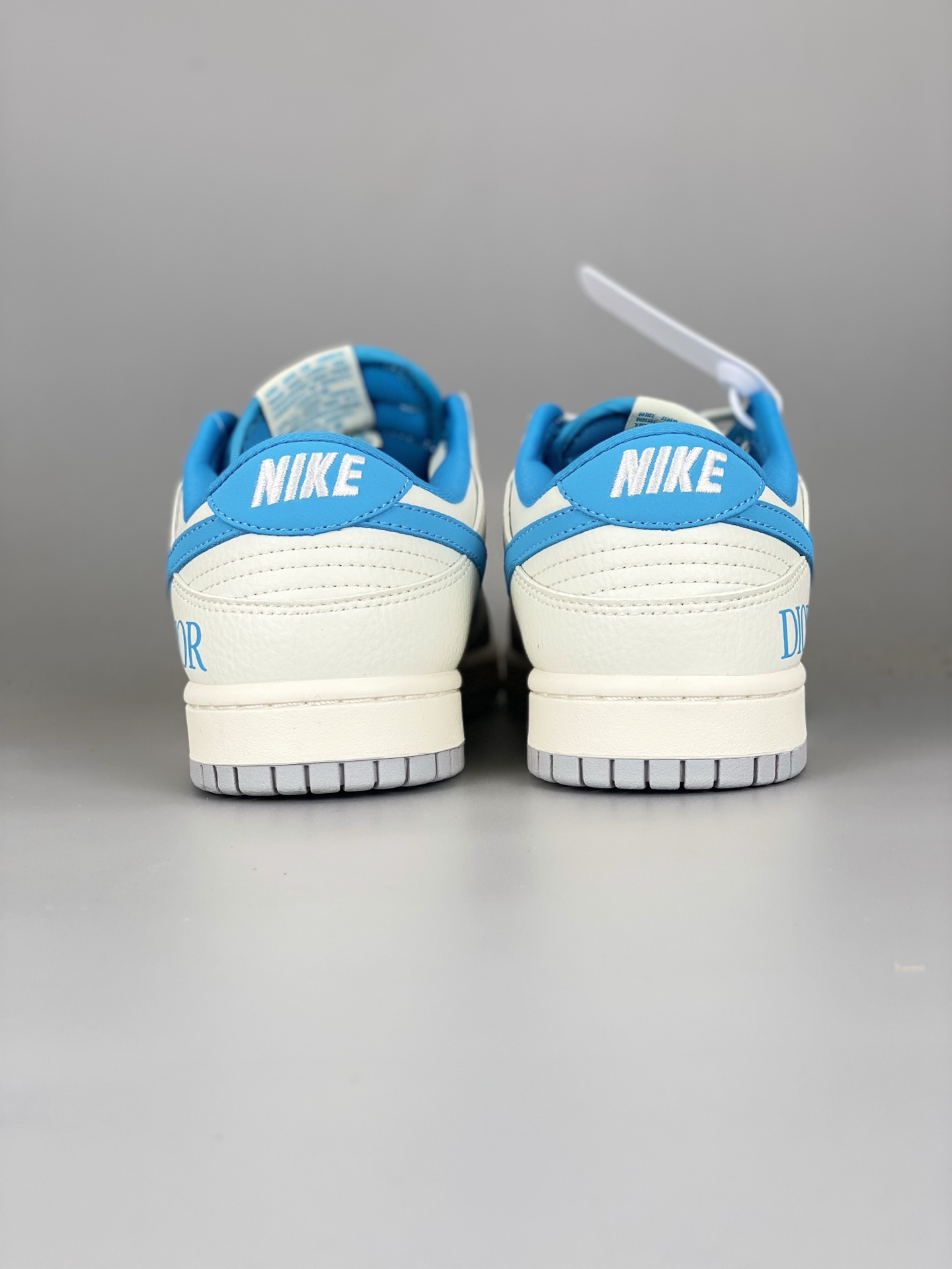 Nike SB Dunk Dior White Blue