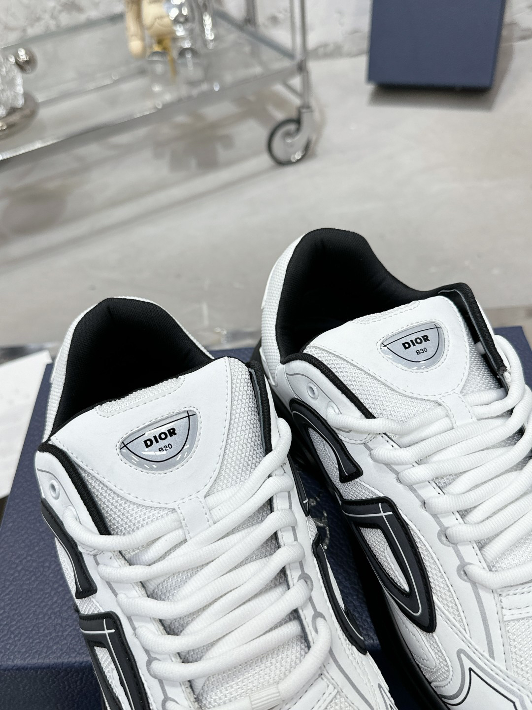Dior B30 Reflective Dad Sneakers White/Black