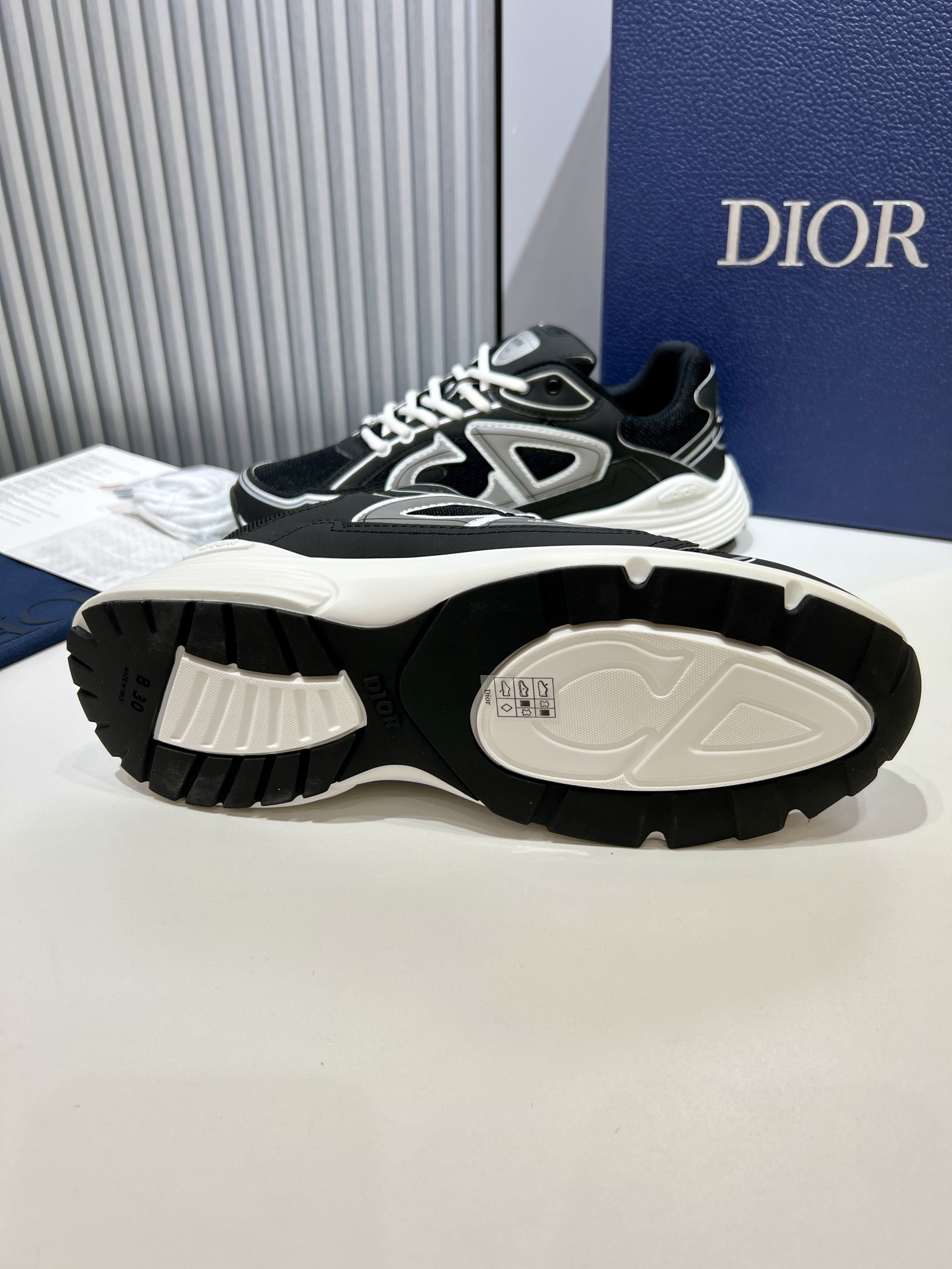 Dior B30 Low-Top Sneaker Black