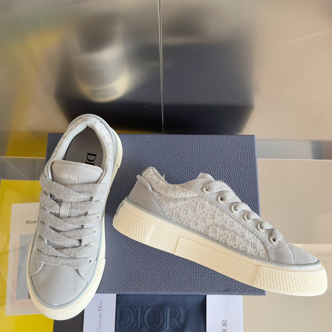 Dior B33 Oblique Sneakers Grey