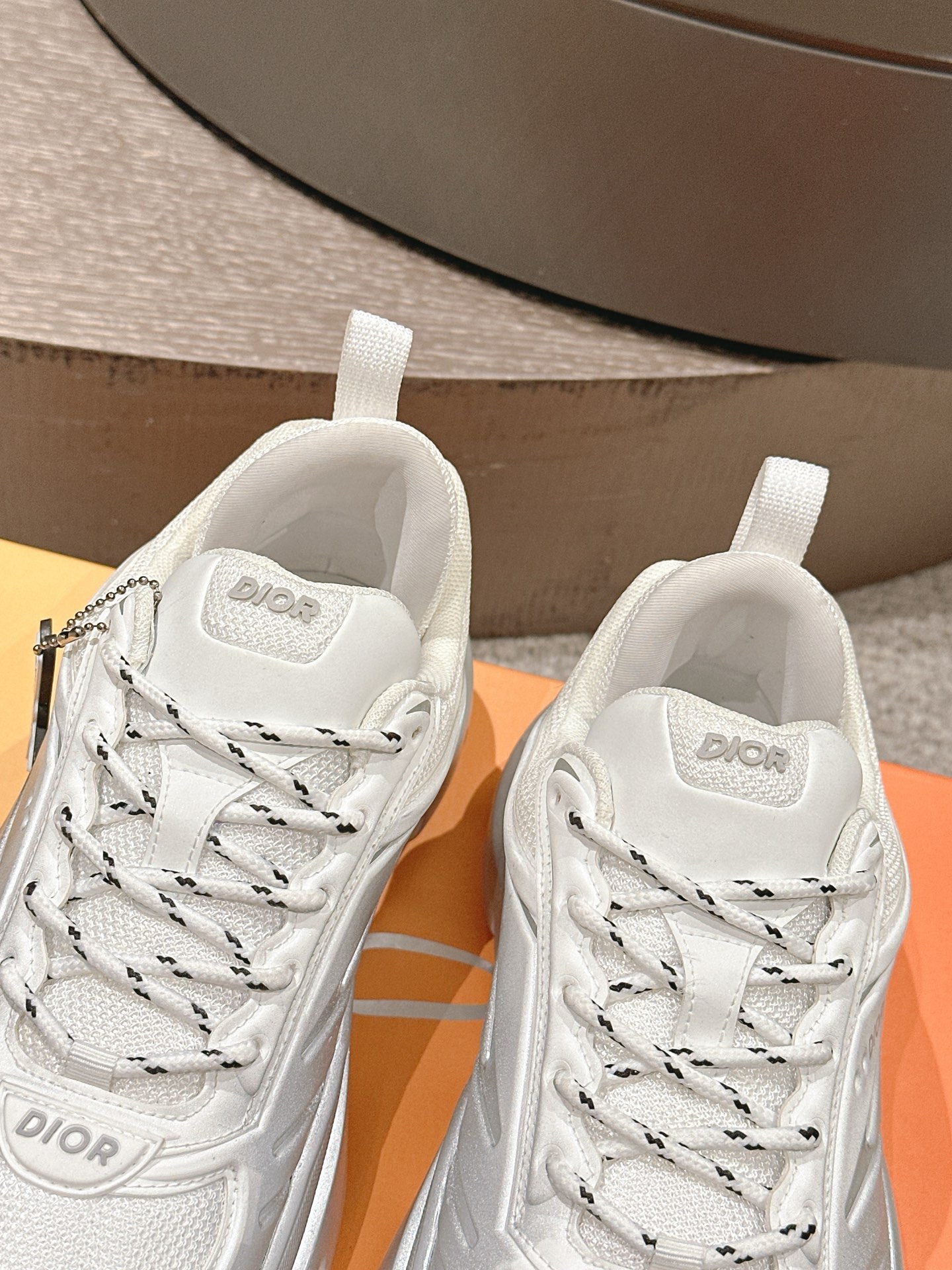 Dior B44 Mesh Dad Sneakers Silver