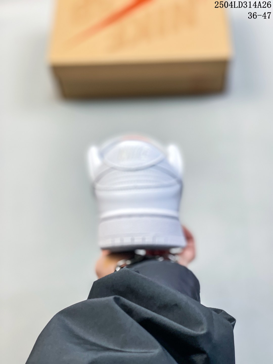 Nike SB Dunk Low Pro Skate Shoes White
