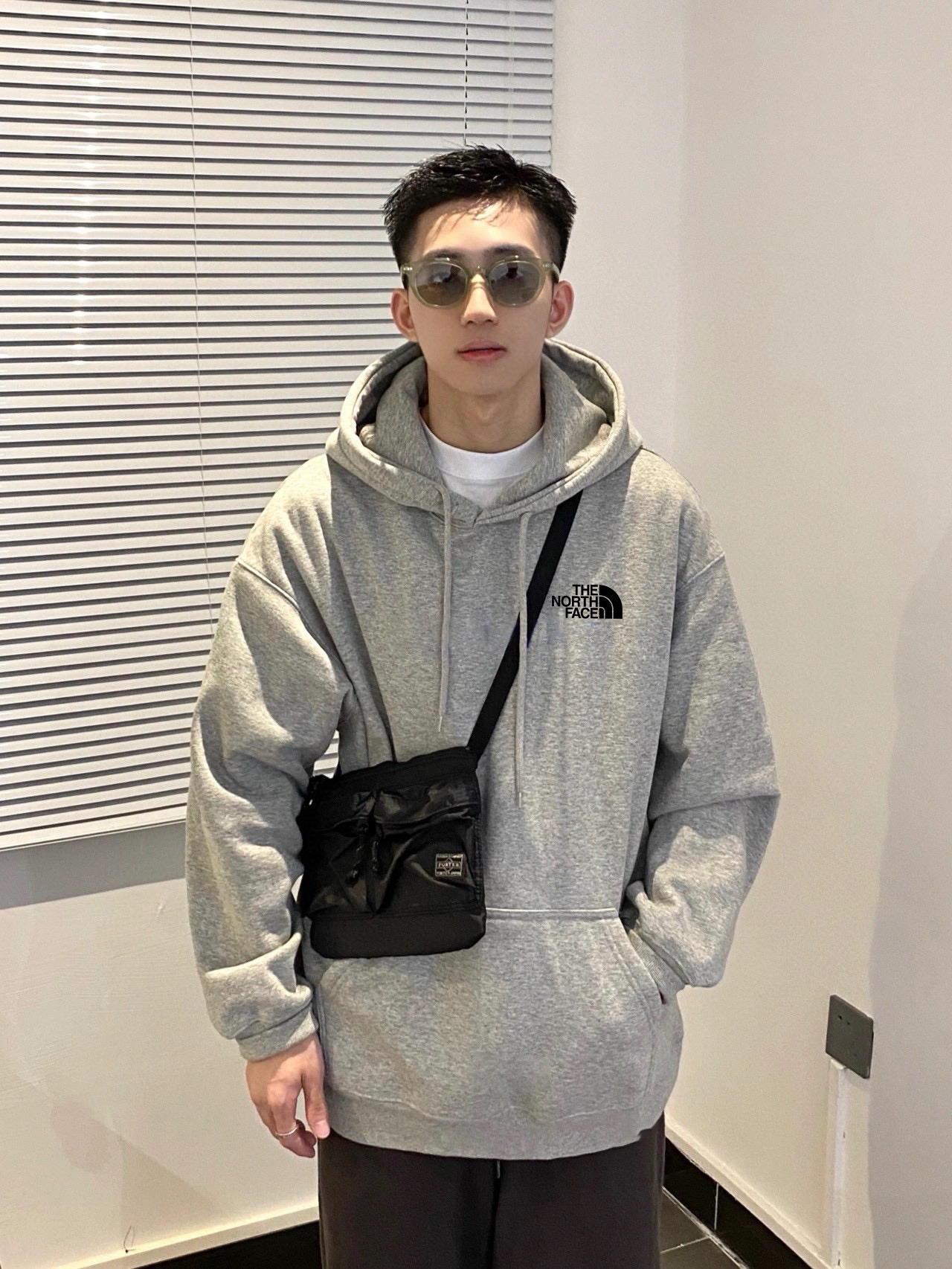 The North Face Animal Graphic Hoodie Gray