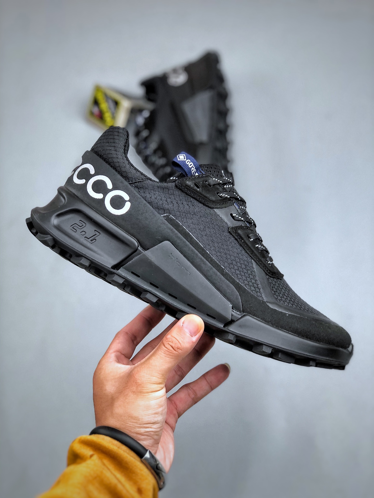 ECCO BIOM 2.1 GTX Trail Shoes Black