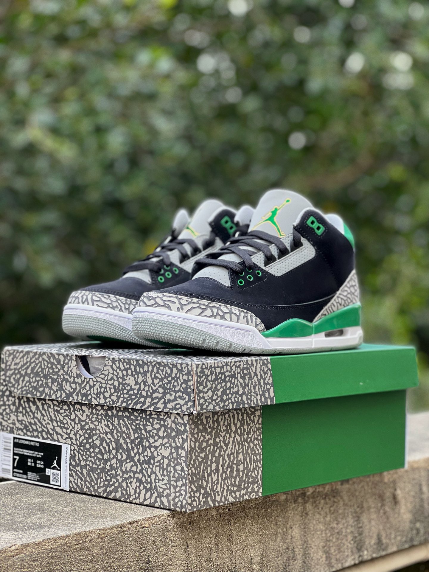 Jordan Air Jordan 3 SE Black Green