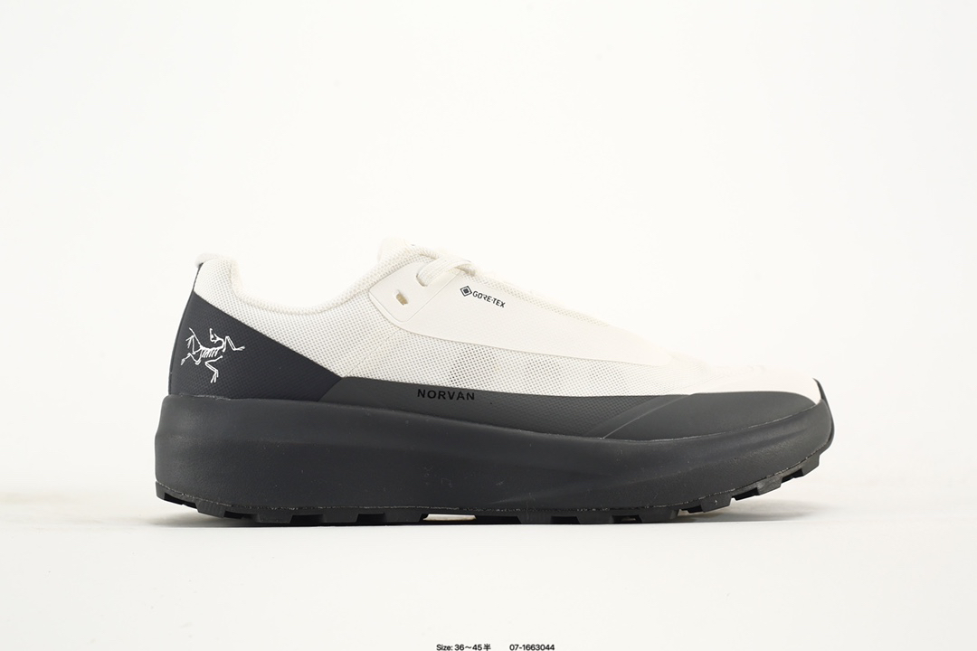 Arc'teryx Norvan FL GTX Shoes Multicolor