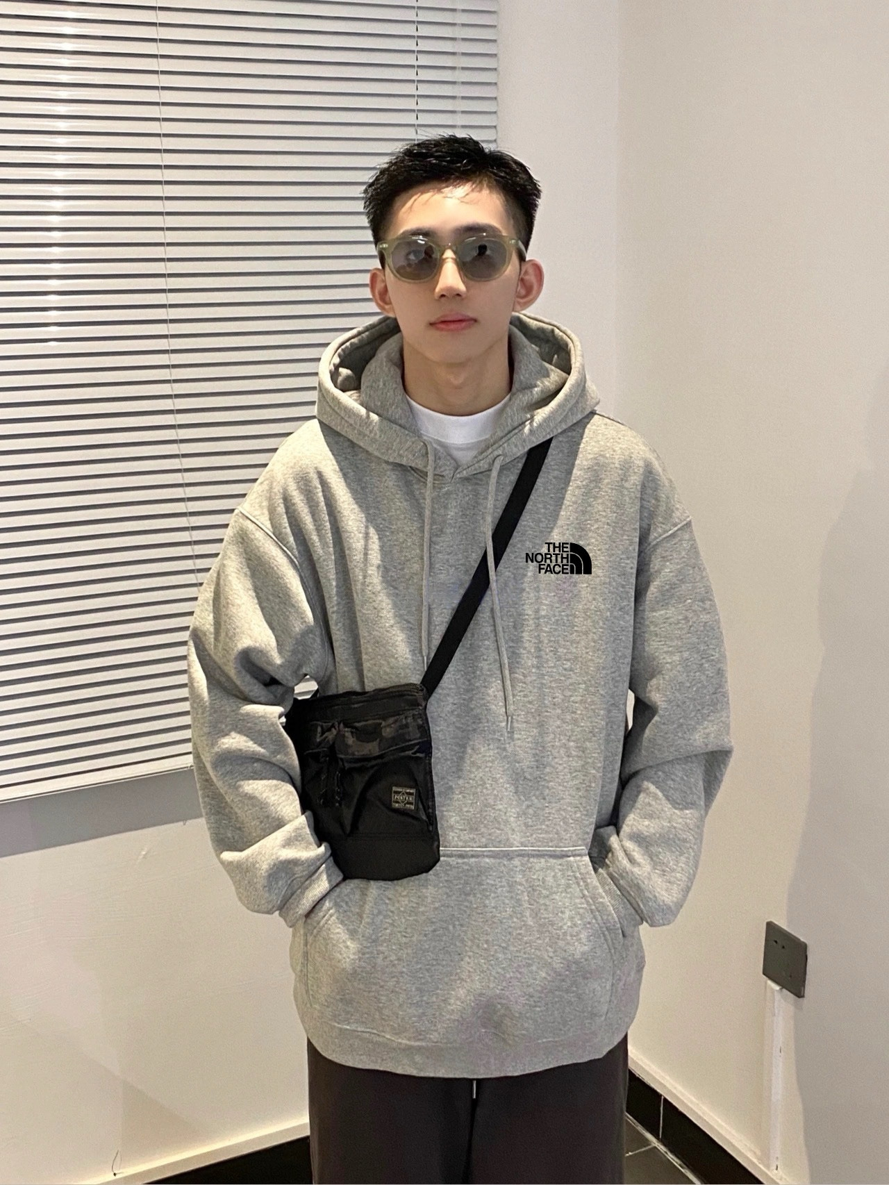 The North Face Animal Graphic Hoodie Gray