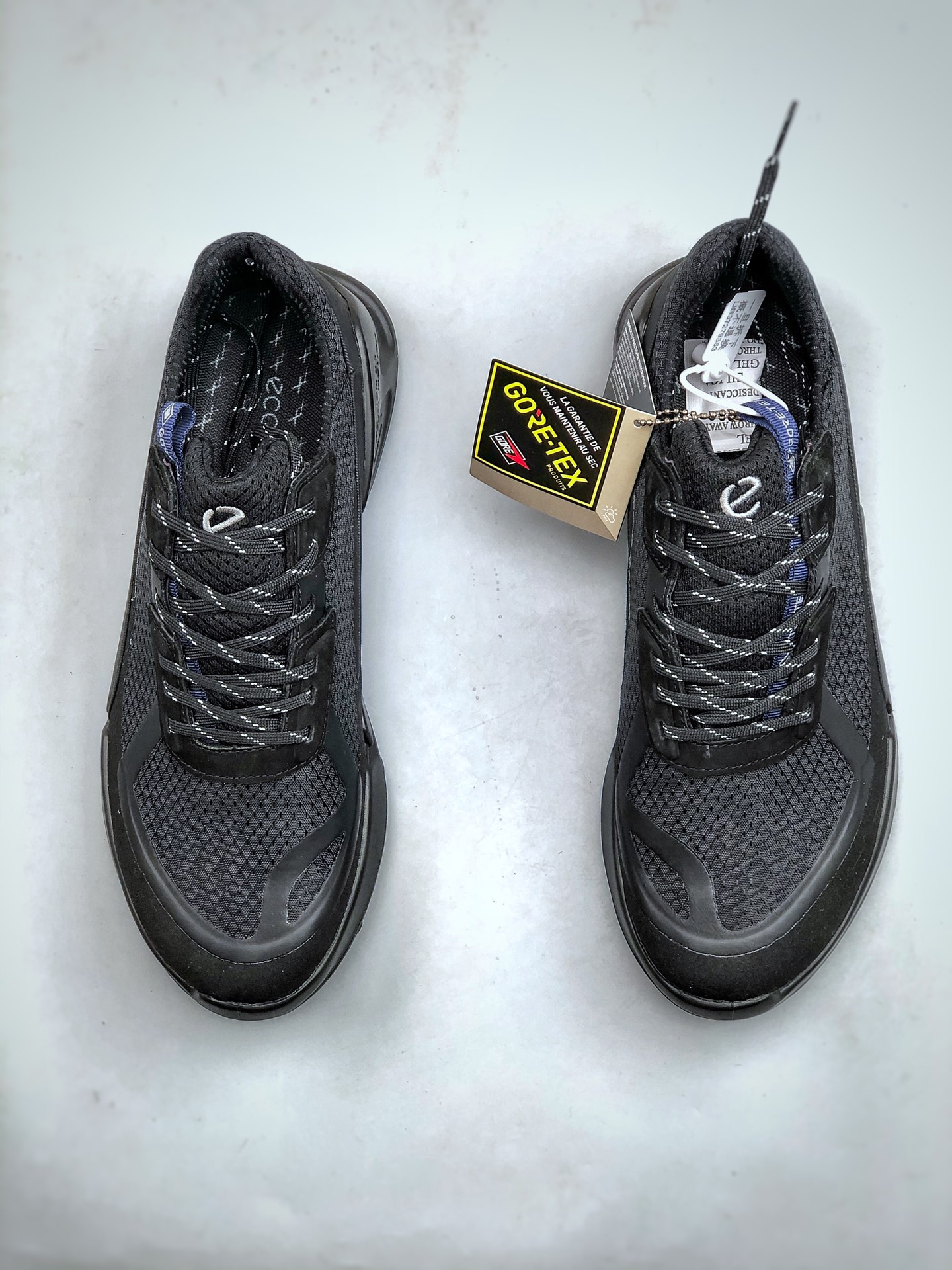 ECCO BIOM 2.1 GTX Trail Shoes Black