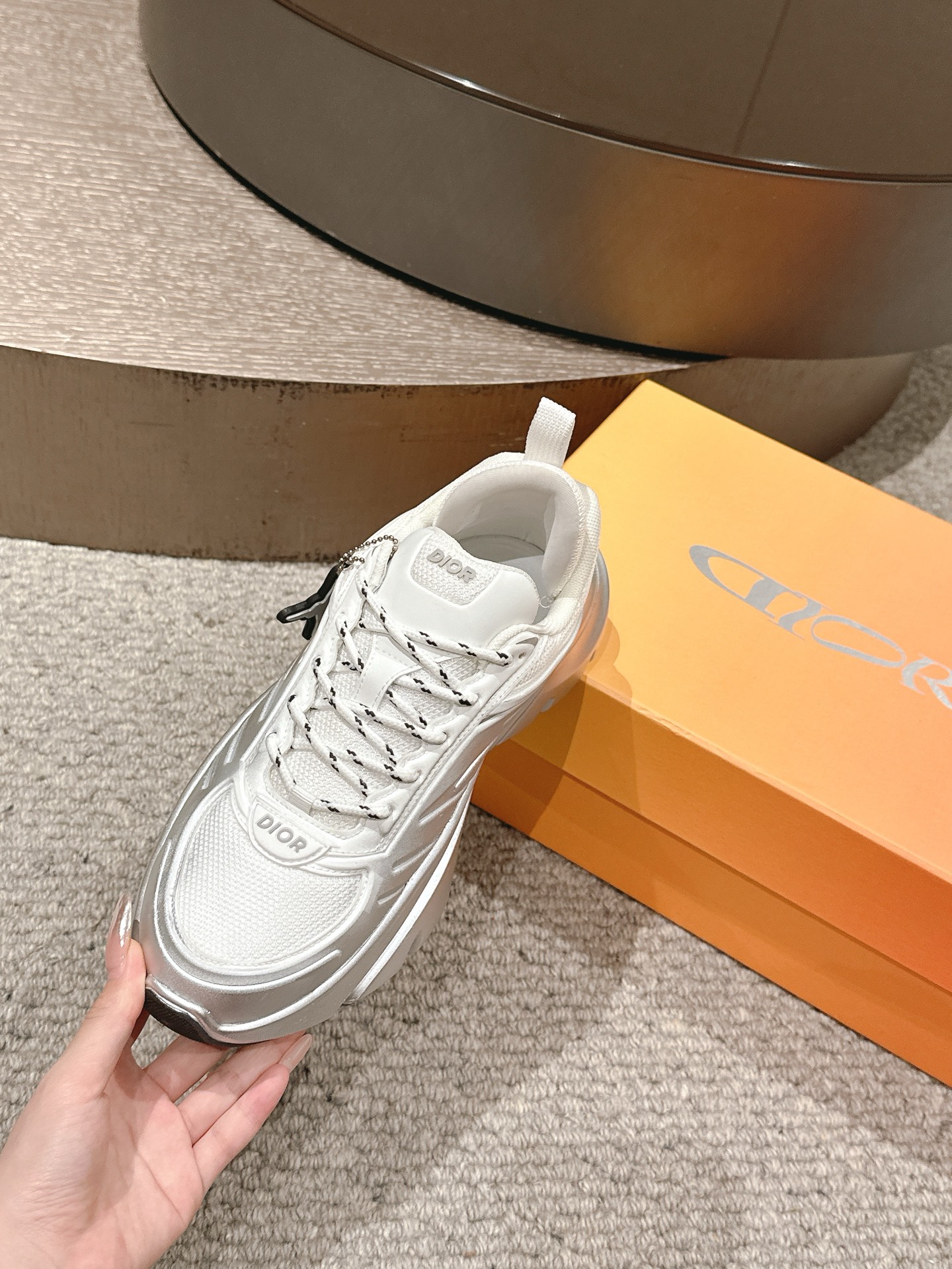 Dior B44 Mesh Dad Sneakers Silver