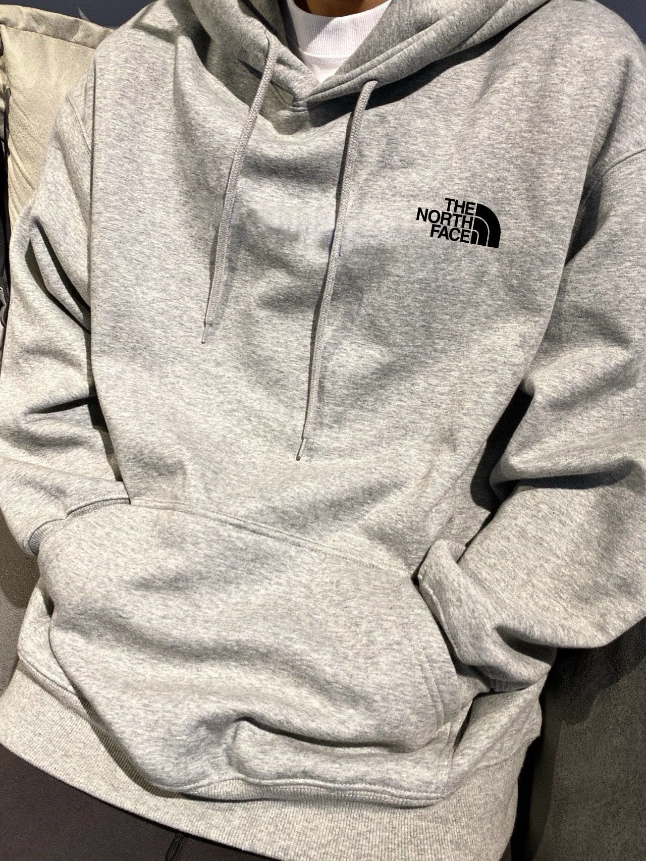 The North Face Animal Graphic Hoodie Gray