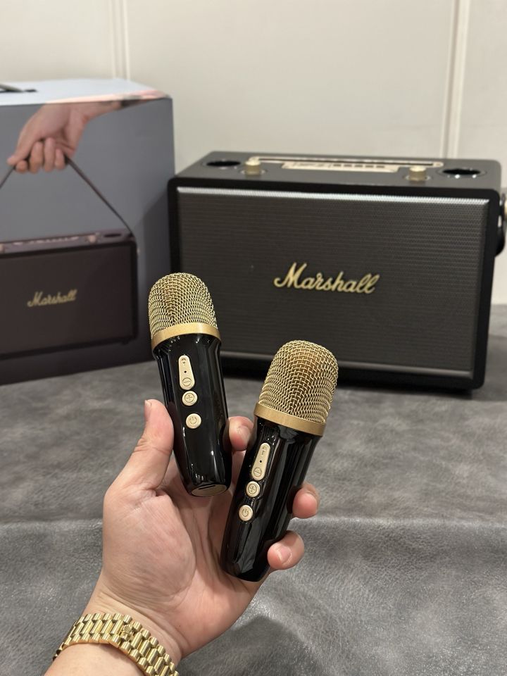 Marshall Dual Mic Stereo Speaker Black