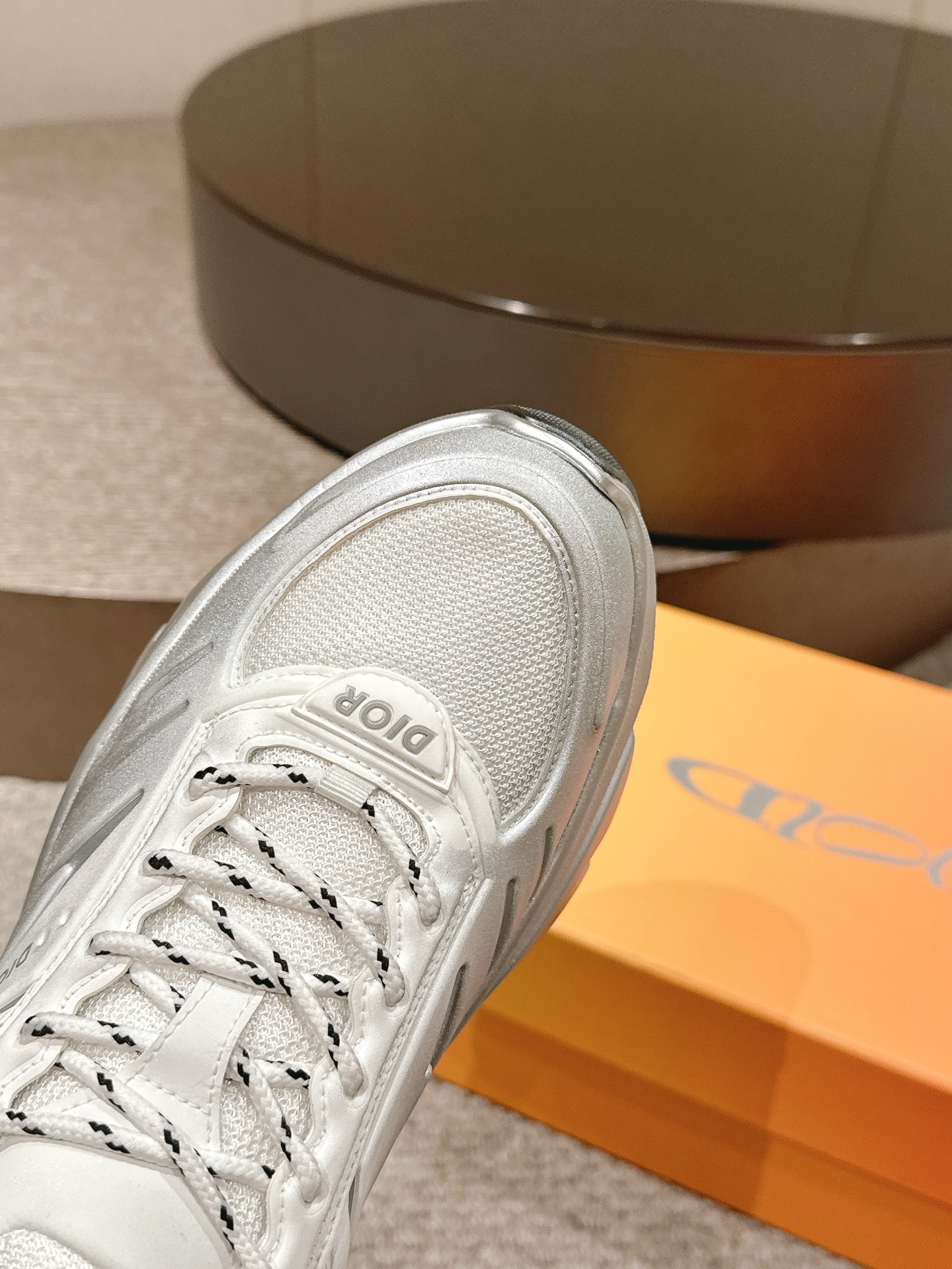 Dior B44 Mesh Dad Sneakers Silver