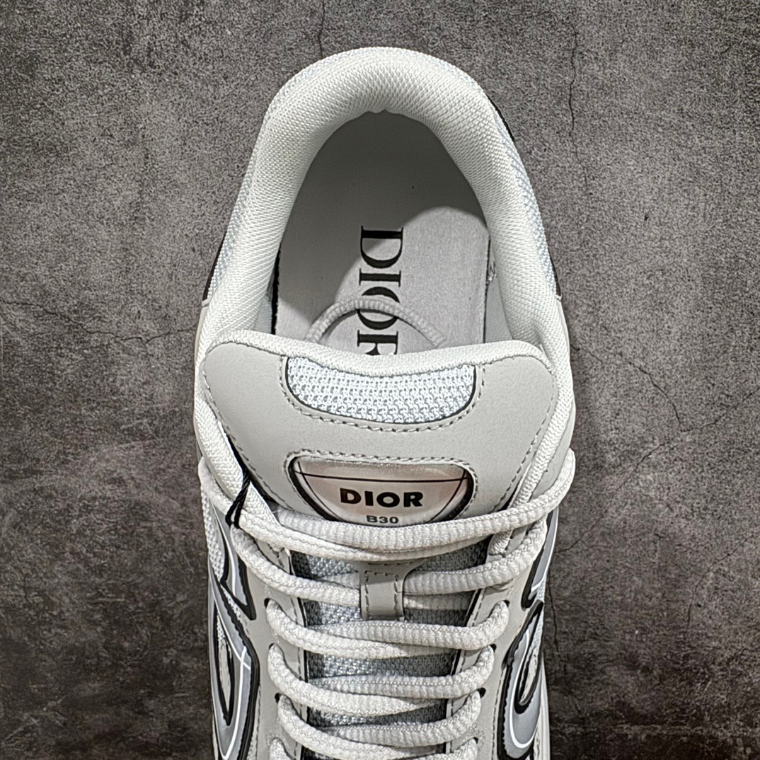Dior B30 Sneaker Grey