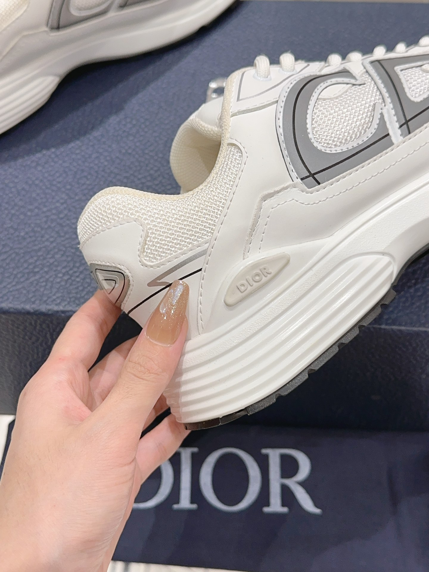 Dior B30 Low-Top Sneakers White