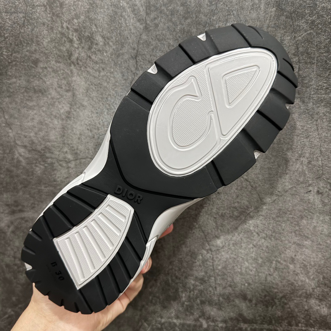 Dior B30 Sneaker Grey