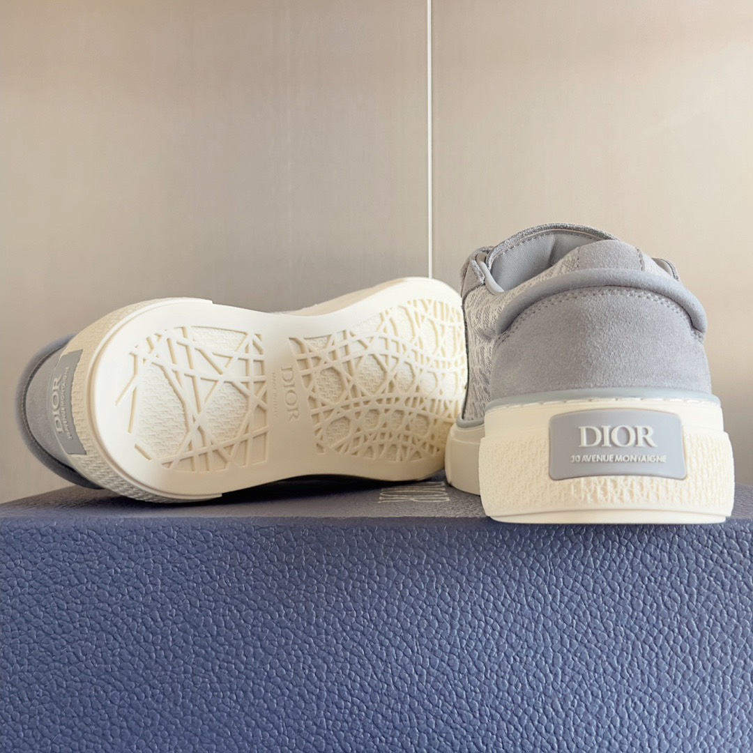 Dior B33 Oblique Sneakers Grey