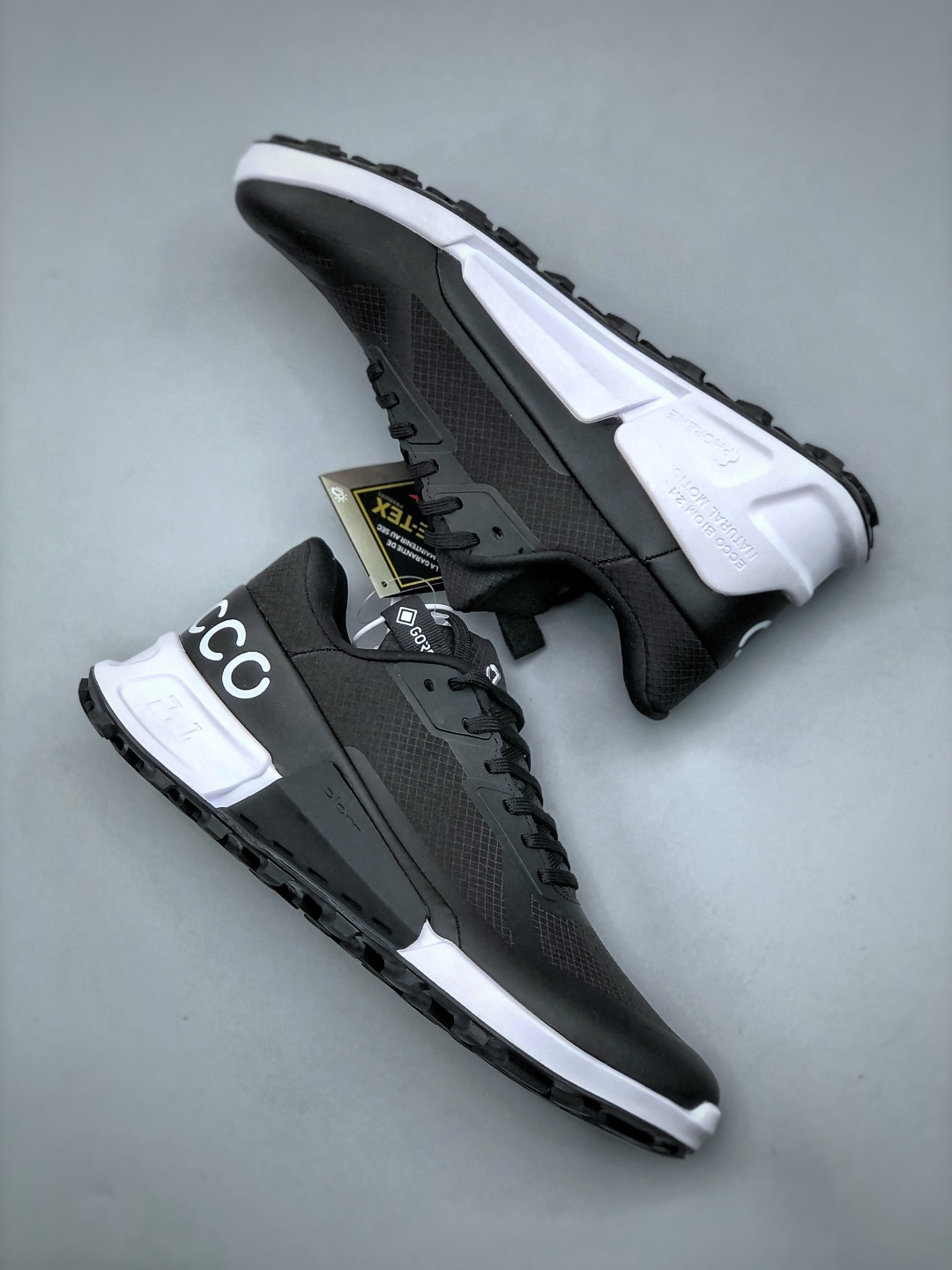 ECCO BIOM C25 Gore-Tex Running Shoes Black/White