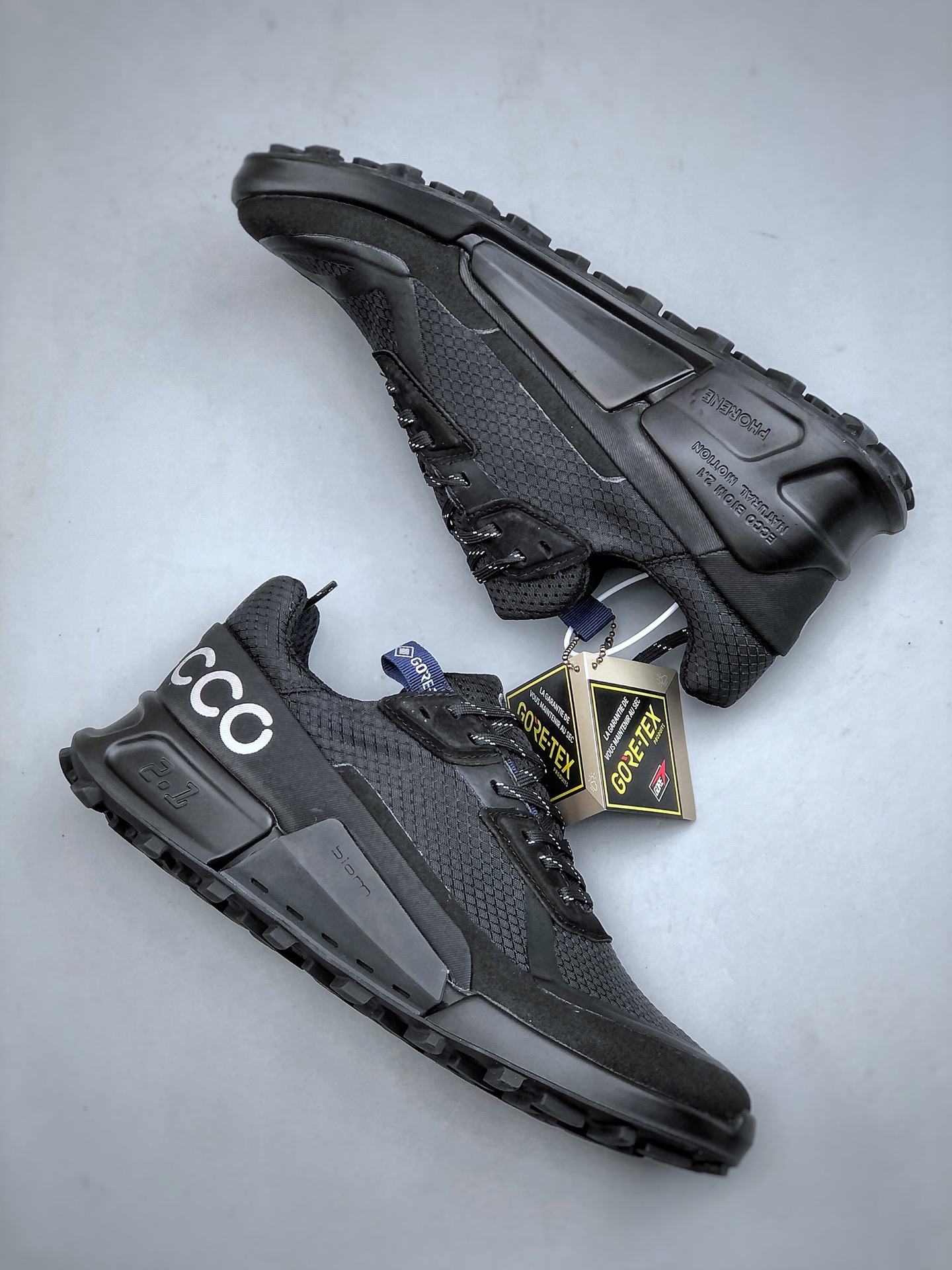 ECCO BIOM 2.1 GTX Trail Shoes Black