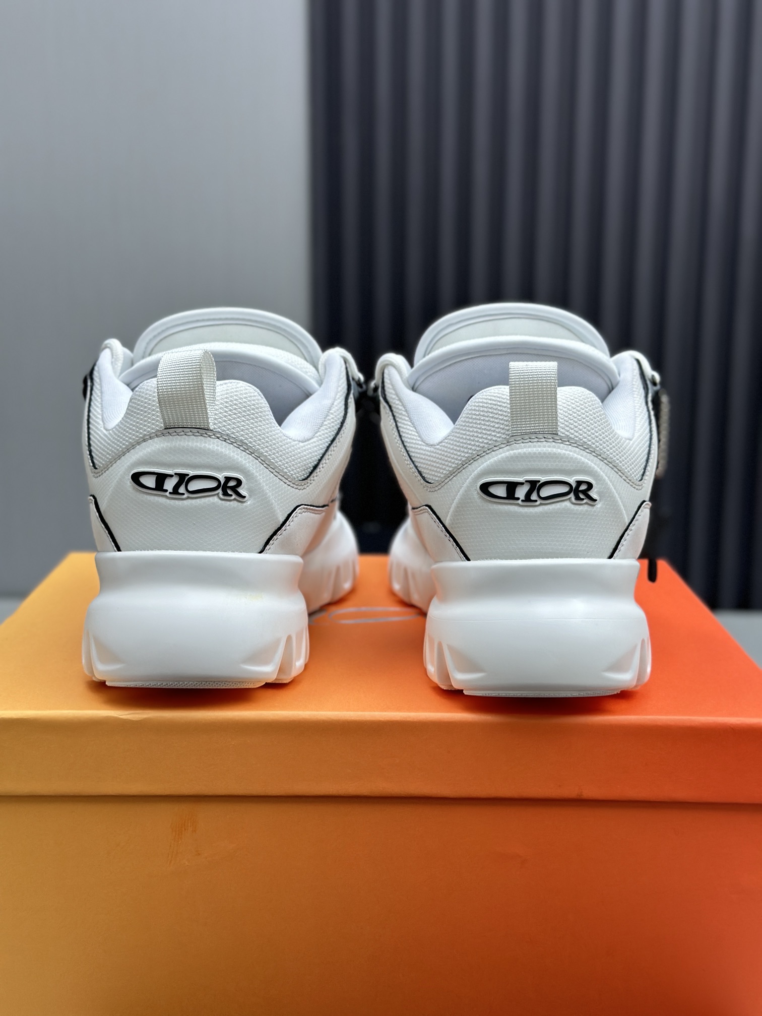 Dior Chunky Mesh Sneakers White