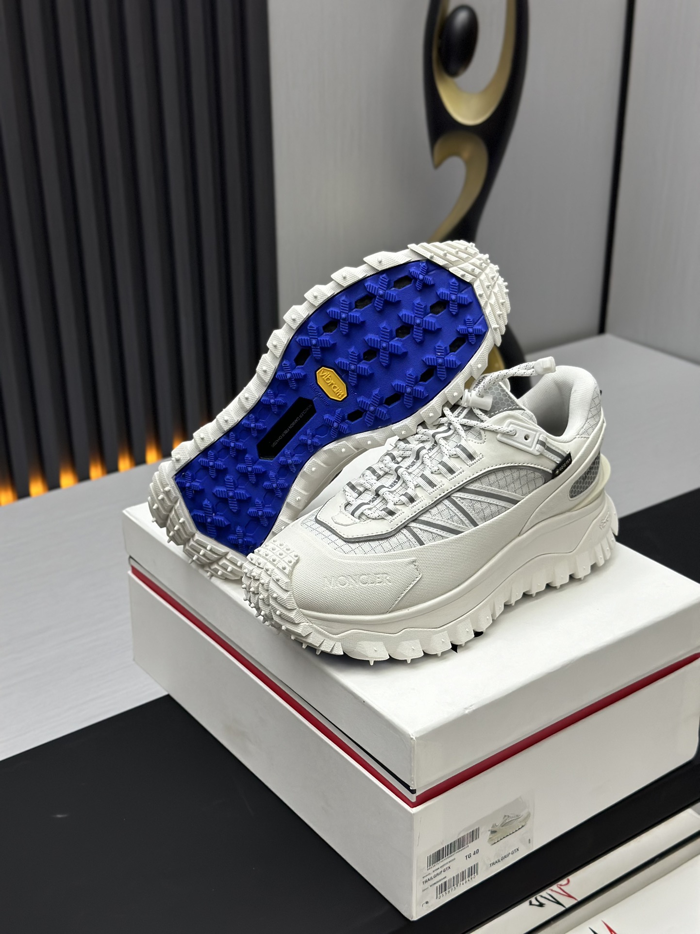Moncler Trailgrip GTX Trail Shoes White