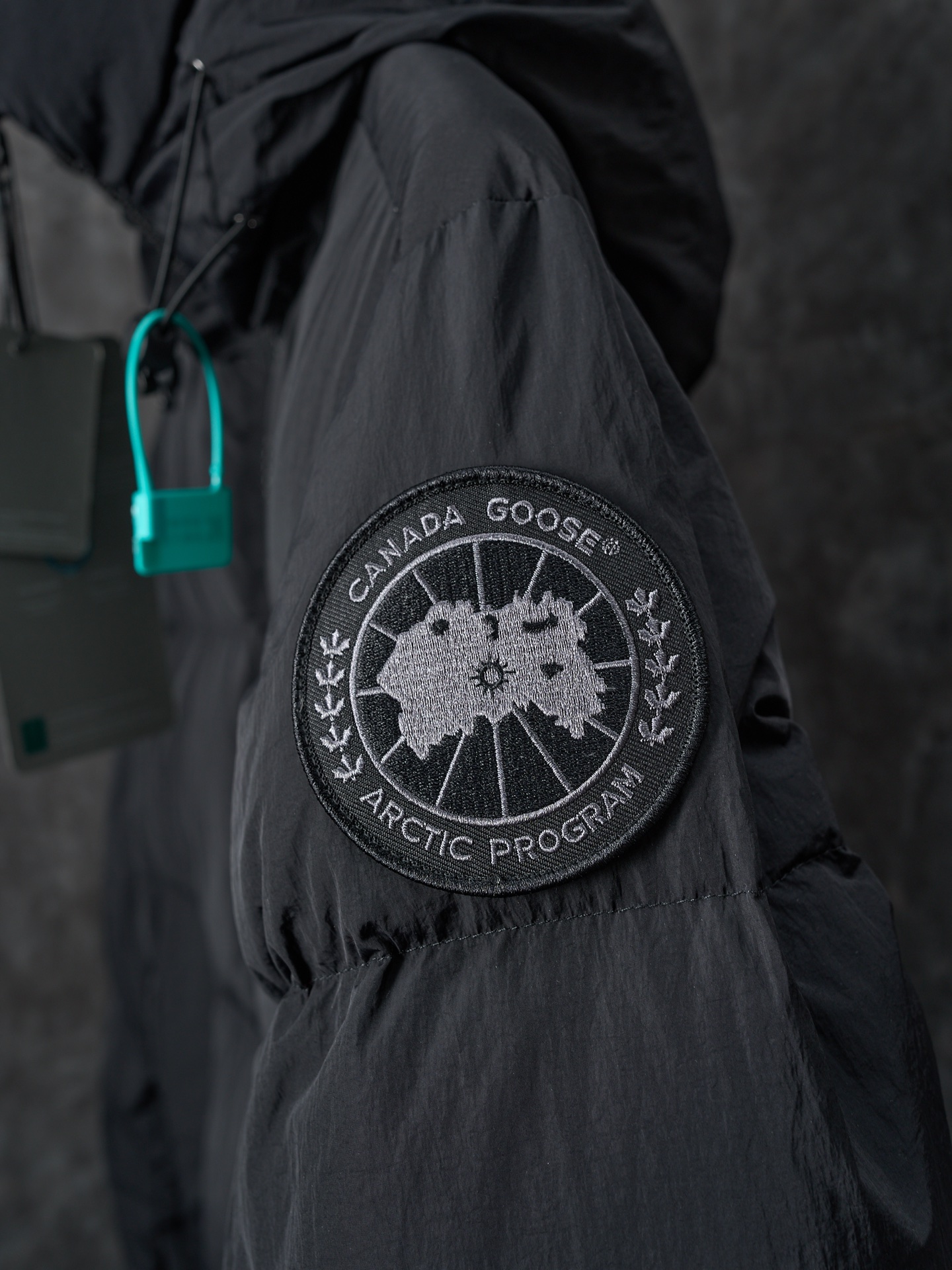 Canada Goose Hooded Puffer Jacket Black